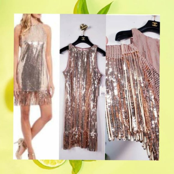 Alex Marie Dresses & Skirts - NWT Alex Marie Fringe Gold Sequins Party Dress